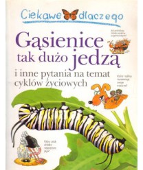 Gąsienice tak dużo jedzą i inne pytania na temat cyklów życiowych