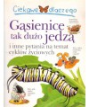 Gąsienice tak dużo jedzą i inne pytania na temat cyklów życiowych