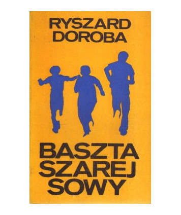 Baszta Szarej Sowy