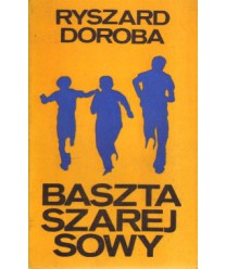Baszta Szarej Sowy