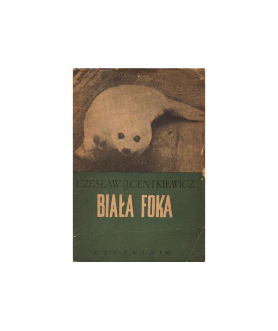 Biała foka