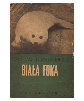Biała foka