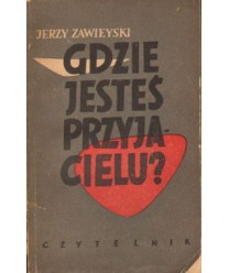Gdzie jesteś przyjacielu?