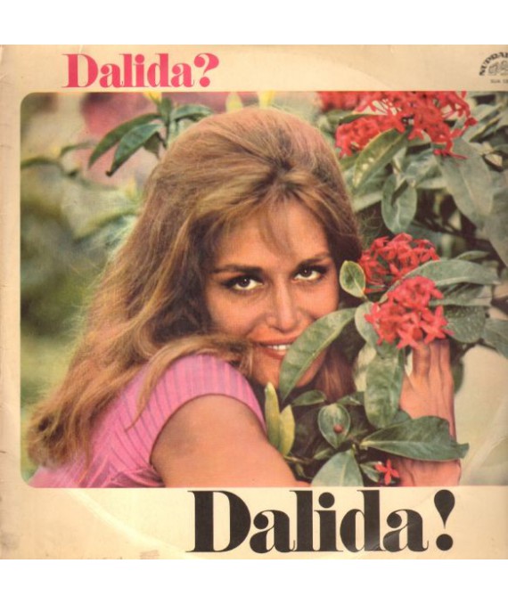 Dalida? Dalida!