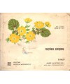Dzień najwyżej dwa