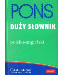 Duży słownik polsko-angielski. 55 000 haseł i zwrotów
