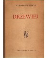 Drzewiej