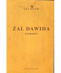 Żal Dawida (romans)