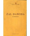 Żal Dawida (romans)