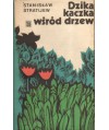 Dzika kaczka wśród drzew