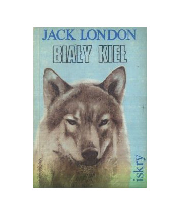 Biały kieł