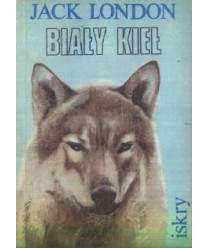 Biały kieł