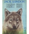 Biały kieł