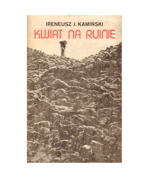 Kwiat na ruinie