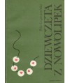 Dziewczęta z Nowolipek