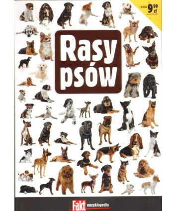 Rasy psów. Opisy 22 najpopularnieszych i najbardziej lubianych ras