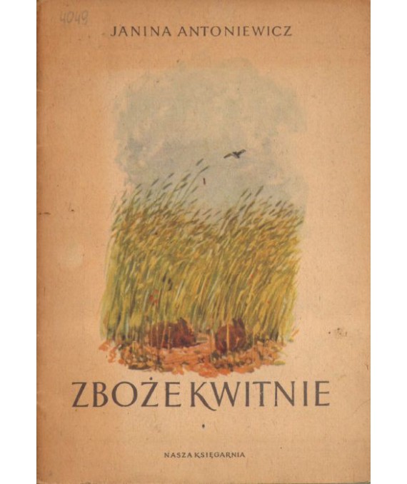 Zboże kwitnie