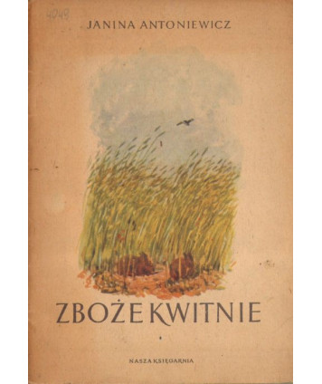 Zboże kwitnie
