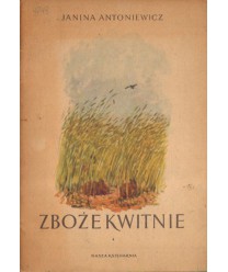 Zboże kwitnie