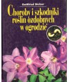 Choroby i szkodniki roślin ozdobnych w ogrodzie