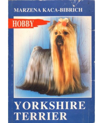 Yorkshire Terier