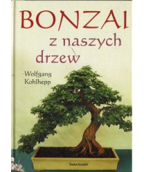 Bonzai z naszych drzew