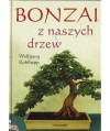 Bonzai z naszych drzew
