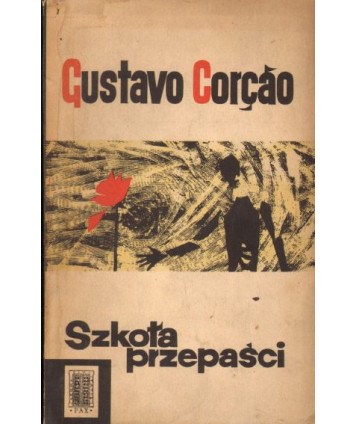 Szkoła przepaści