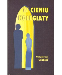 W cieniu kolegiaty. Powieść