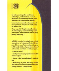 W cieniu kolegiaty. Powieść