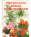 Pielęgnacja roślin doniczkowych