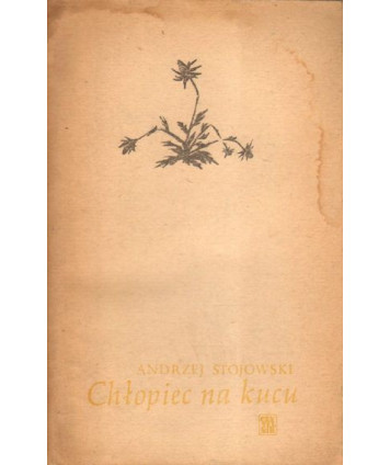Chłopiec na kucu