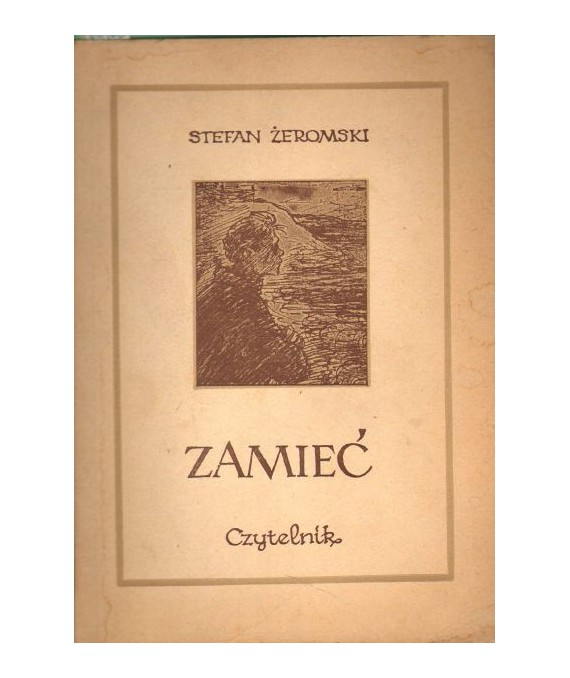 Zamieć. Powieść
