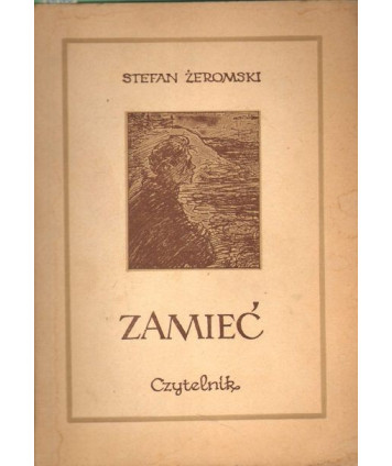 Zamieć. Powieść