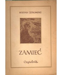 Zamieć. Powieść