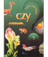 Chcę wiedzieć. Czy...?