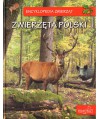 Zwierzęta Polski. Ssaki