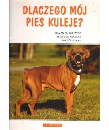 Dlaczego mój pies kuleje