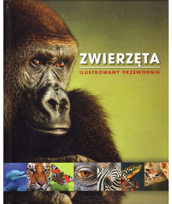 Zwierzęta. Ilustrowany przewodnik