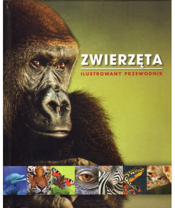 Zwierzęta. Ilustrowany przewodnik