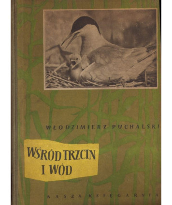 Wśród trzcin i wód