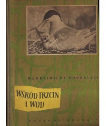 Wśród trzcin i wód