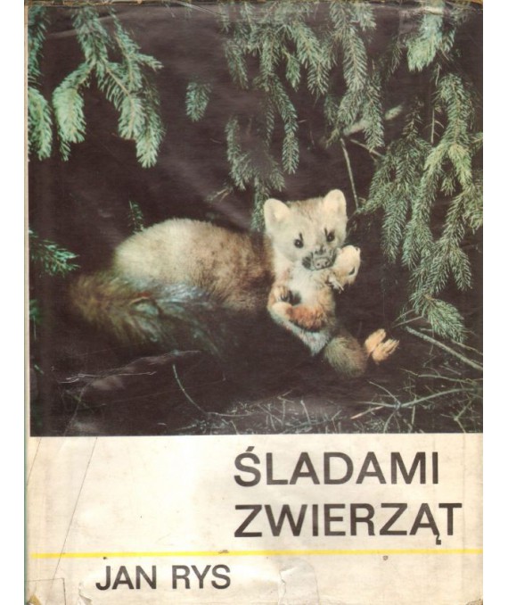Śladami zwierząt