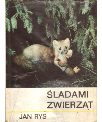 Śladami zwierząt