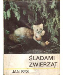 Śladami zwierząt