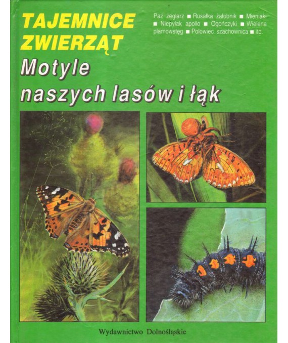 Motyle naszych lasów i łąk