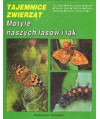 Motyle naszych lasów i łąk