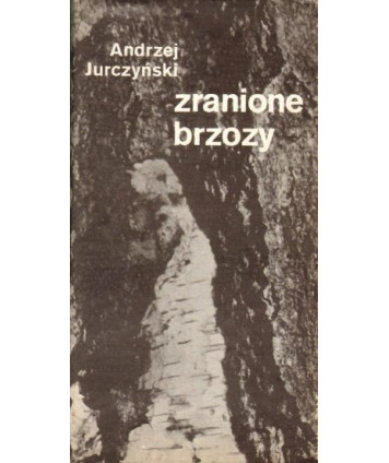 Zranione brzozy