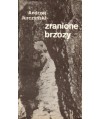 Zranione brzozy