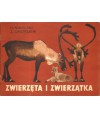 Zwierzęta i zwierzątka